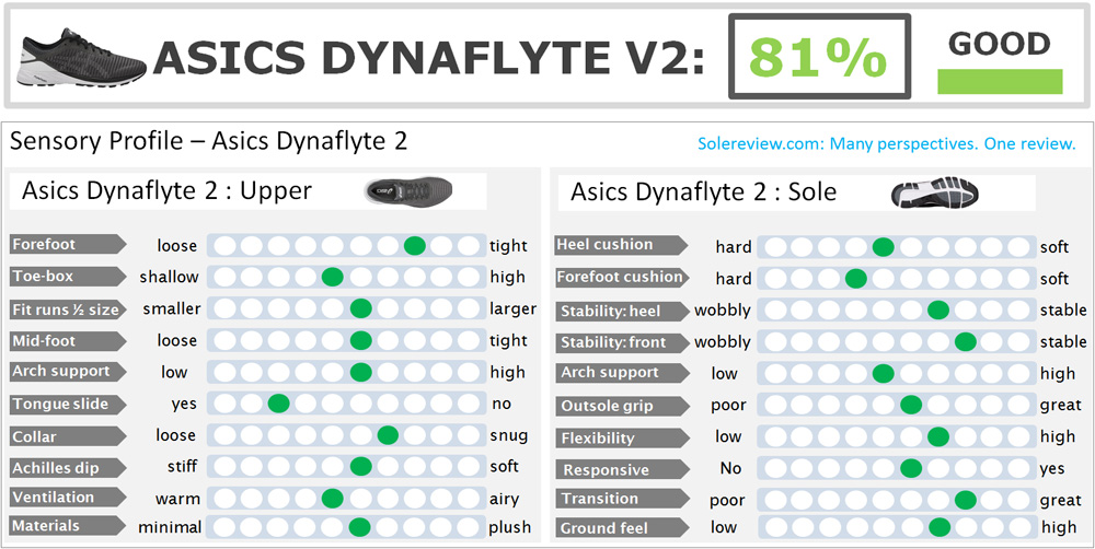 dynaflyte 2 review