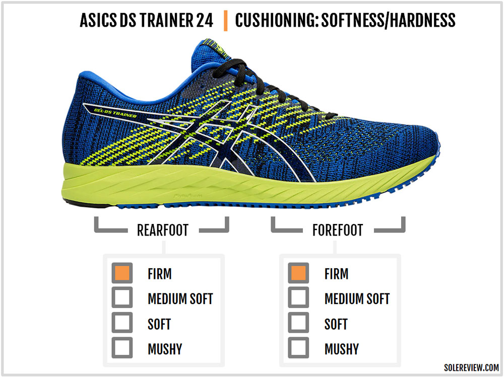 ds trainer 24 review