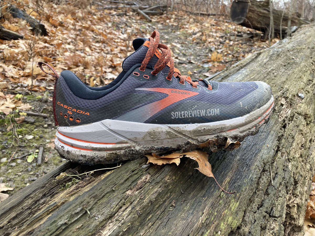 Cut in half: Brooks Cascadia 16 Review