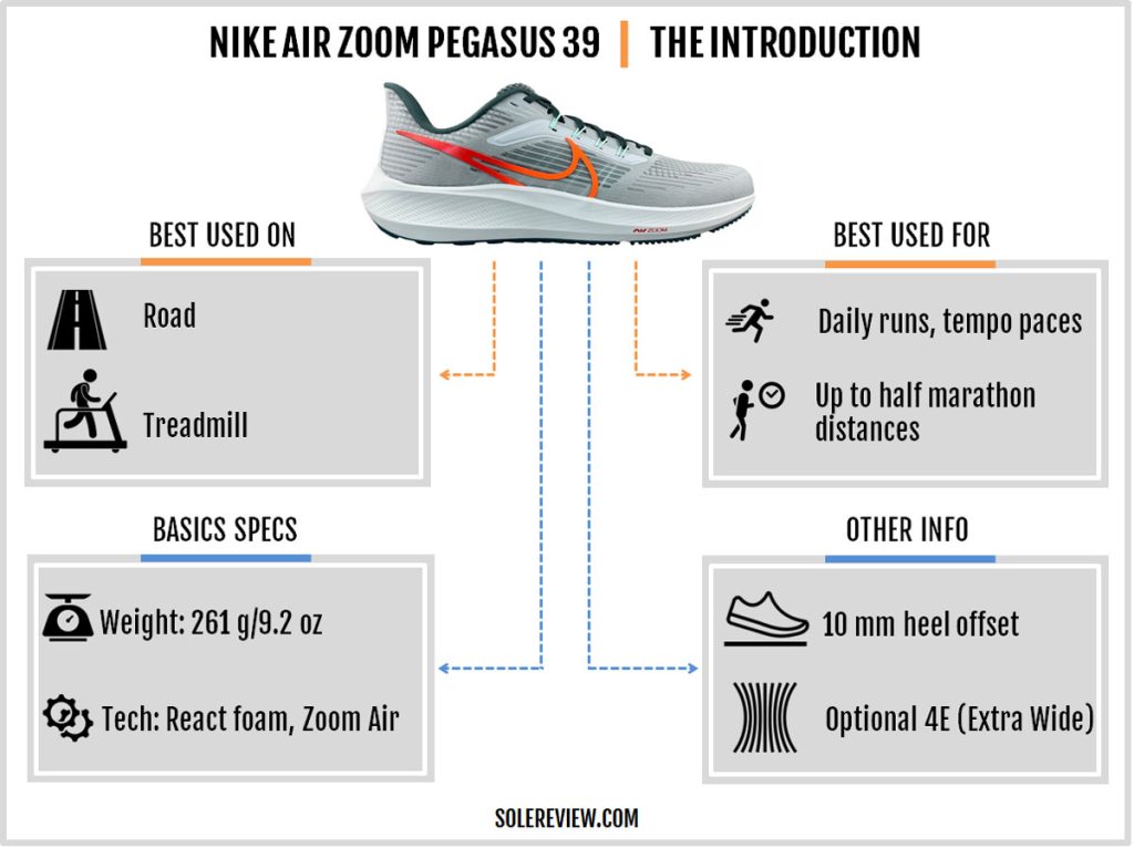 Año nuevo triángulo desbloquear Nike Air Zoom Pegasus 39 Review